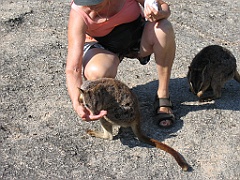 CairnsTC113 Granite Gorge